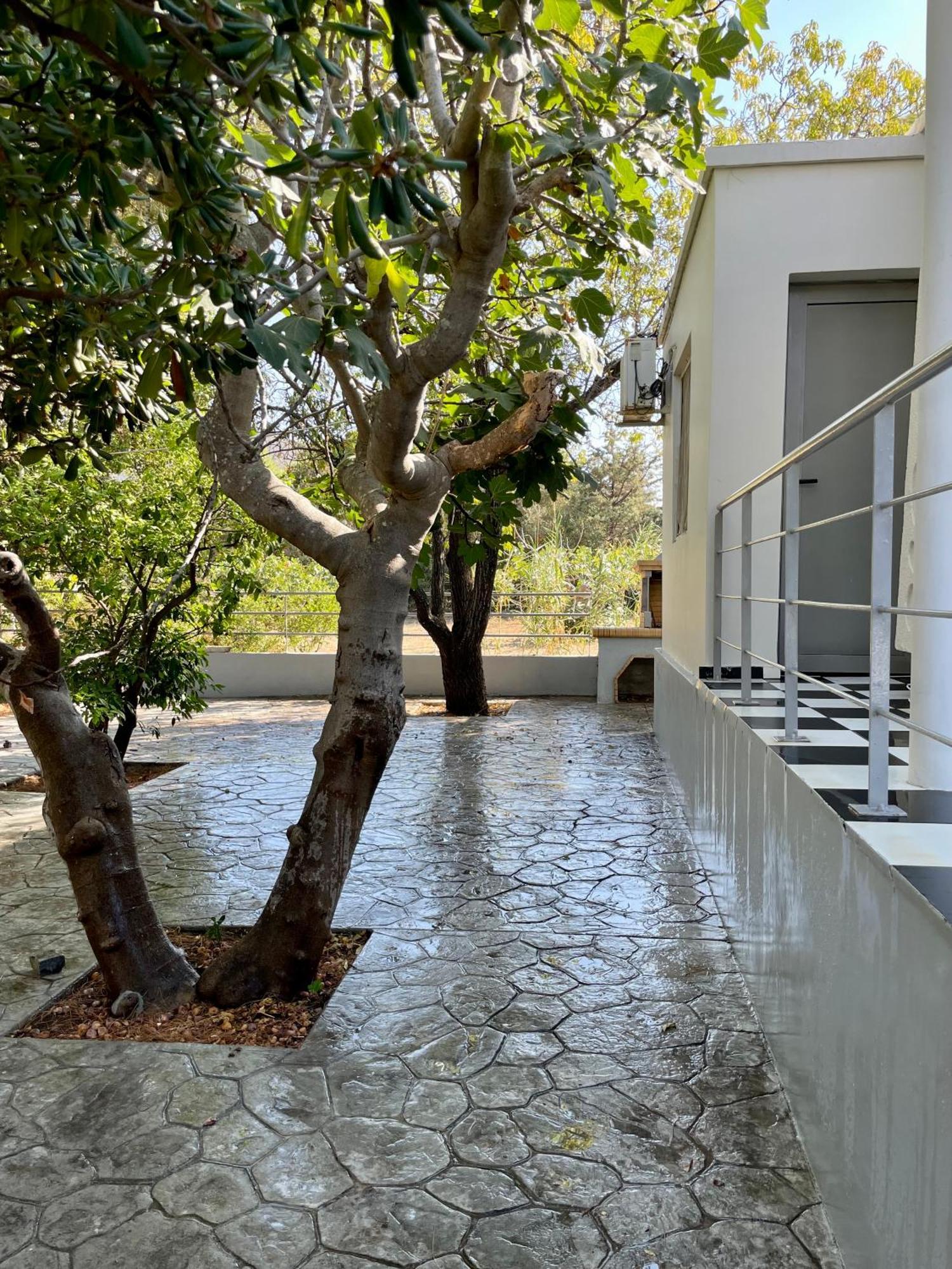 Architect'S Summer House By The Beach Pórto Ráfti Dış mekan fotoğraf